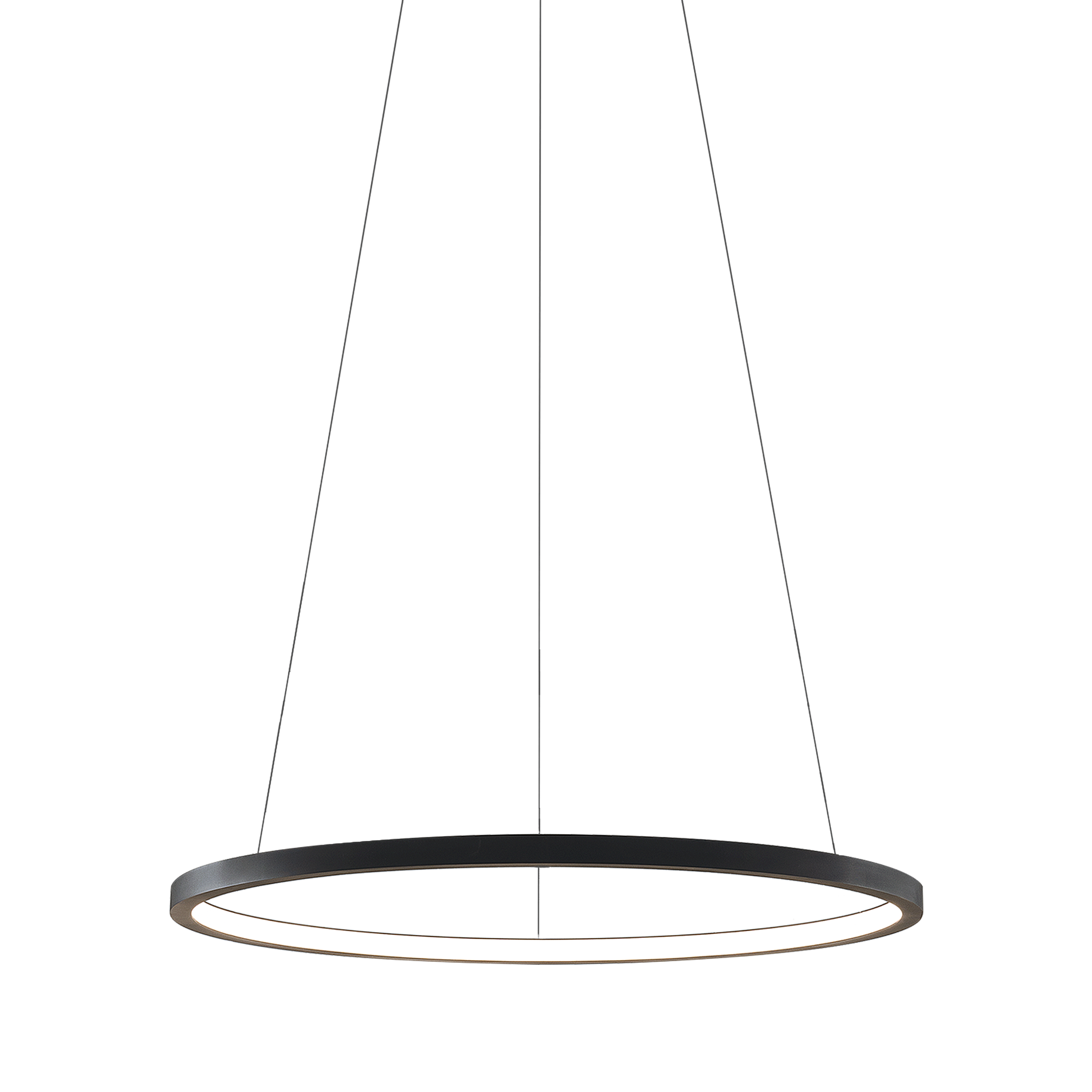 rs-10-855-primary Custom custom ceiling light with opal acrylic diffuser CNG10 - Image 1