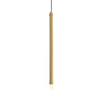 Decorative champagne gold custom ceiling light with LED light CBL03